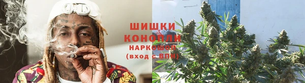 индика Заволжье