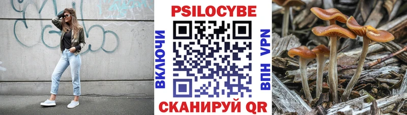 Галлюциногенные грибы прущие грибы Павлово
