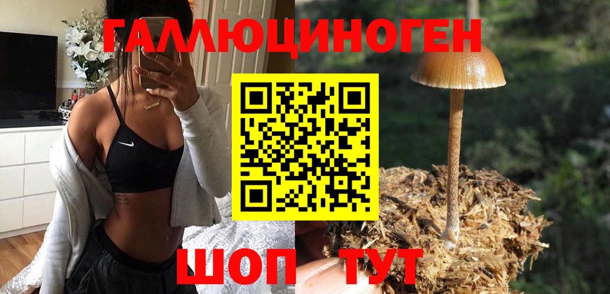 Псилоцибиновые грибы ЛСД  Вход с VPN  Павлово 